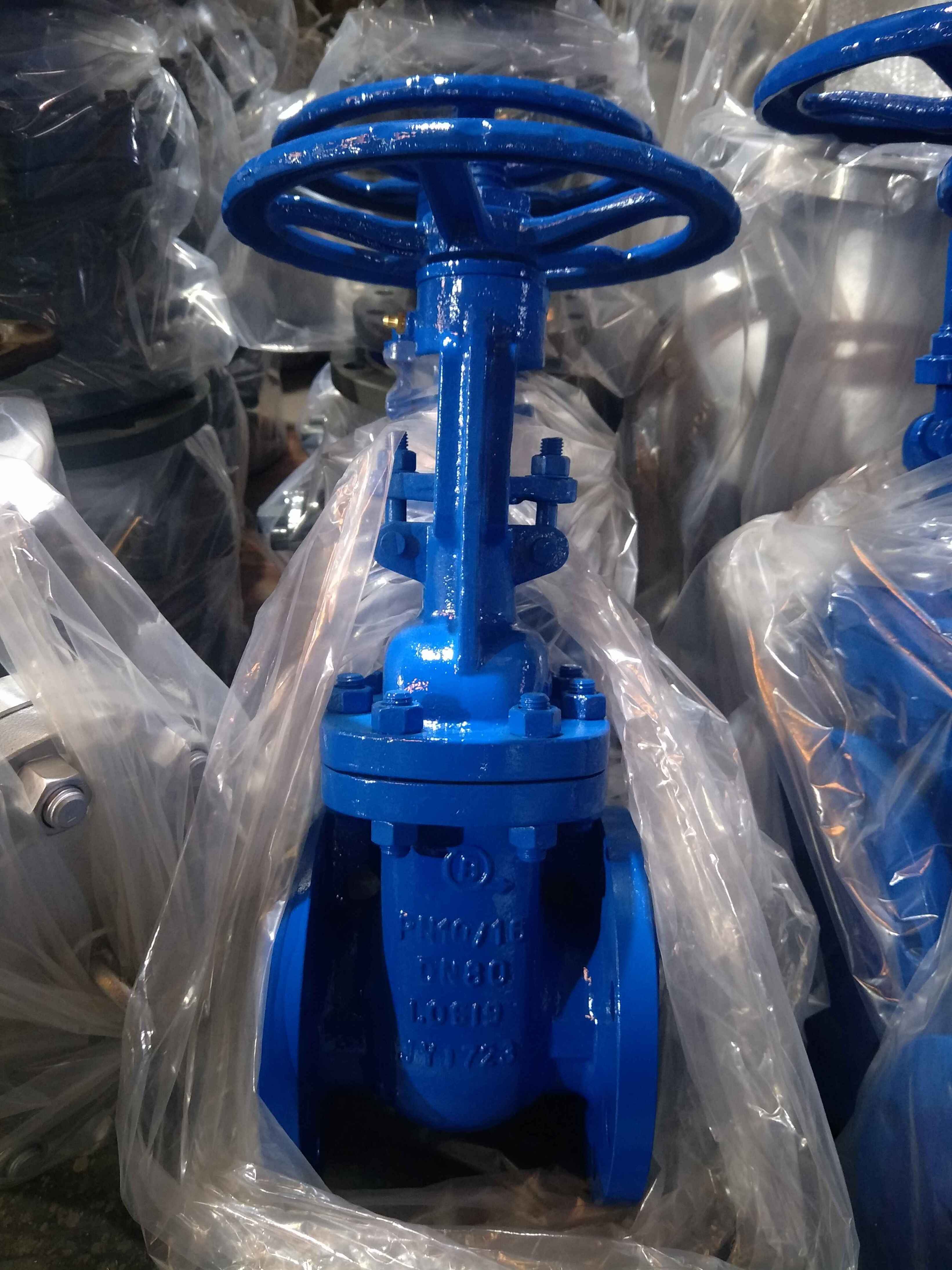 DIN F4 1.0619 GATE VALVE