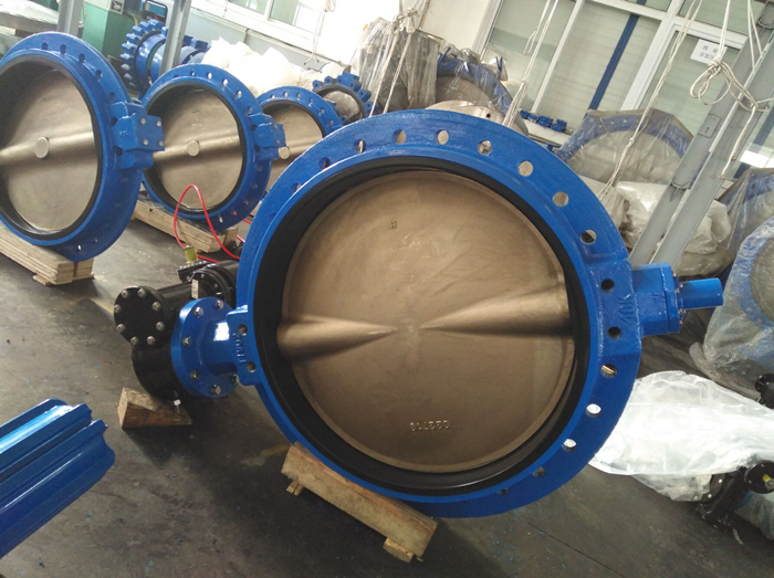 C95800 Butterfly valve for seawater