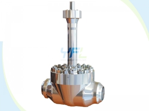 Cryogenic extended stem top entry ball valves