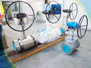 Cryogenic extended stem top entry ball valves