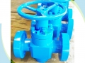 API 6A PFF/PFFA/PFFY/PFFW Slab Gate Valve