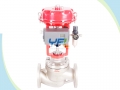 Cryogenic Top Guided Single Seat Globe Control Valve