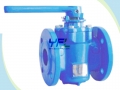 Soft Seal Eccentric Plug Valve