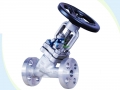 Jacketed Bellows Seal Y Type Globe Valve