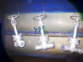 ANSI/DIN Bellows Seal Gate Valve