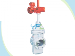 Slab gate valve with through conduit