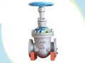 Auto Compensation Parallel Double Disc Slab Gate Valve