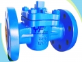 API & DIN Soft Seal Sleeved Plug Valve