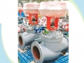 Diaphragm Actuated Intelligent Cage Guided Globe Control Valve