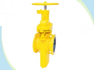 Cityl gas slab gate valves