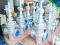 Auto Compensation Parallel Double Disc Slab Gate Valve