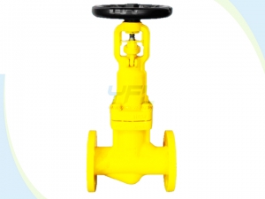 Bellows seal globe valve for chlorine