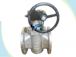 Soft seal eccentric plug valve