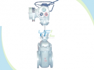 Parallel Double Disc Slab Gate Valve