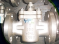 API & DIN Soft Seal Sleeved Plug Valve