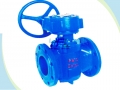 Soft Seal Eccentric Plug Valve