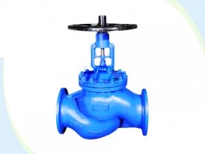 Bellows Seal Stop Check Valve