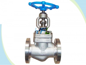 Welded bonnet forged globe valves