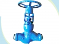 BS1873 Pressure Seal Bonnet WC9 Power Station Globe Valve