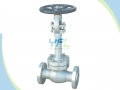 BS 1873 Extended Stem LCB LPG Low Temperature Globe Valve