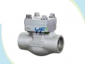 BS 5352 Threaded Forged Steel A105 Ball Type Check Valve
