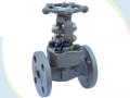 API 602 Flanged Forging Steel F904L Gate Valve