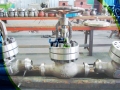 DIN 3356 Bolted Bonnet Cast Steel GS-C25 Globe Valve