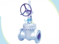 DIN 3352 Bolted Bonnet Cast Steel WCB Gate Valve