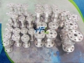 BS 5352 Forged Steel F304L Cryogenic Check Valve