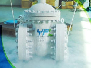 Cryogenic Gate Valve