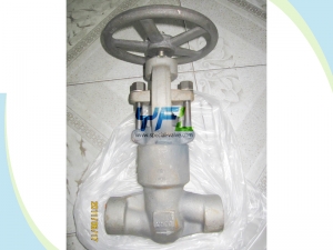 Welded bonnet forged globe valves