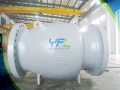 API 6D Large Size CF8 Non Noise Axial Flow Check Valve