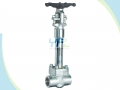 API 600 Stainless Steel CF8 LNG Cryogenic Gate Valve