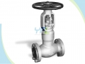 BS1873 Pressure Seal Bonnet WC9 Power Station Globe Valve