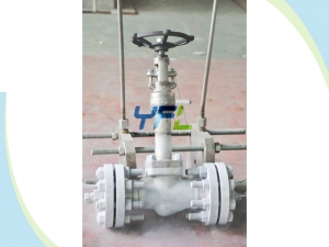 Low temperature globe valve