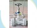 BS 1873 Extended Stem LCB LPG Low Temperature Globe Valve