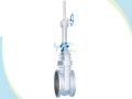 DIN 3352 Bolted Bonnet Cast Steel WCB Gate Valve