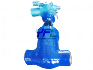 Pressure seal cast steel gate valves