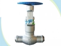 BS1873 Pressure Seal Bonnet WC9 Power Station Globe Valve