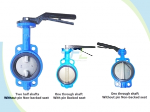 Lugged Center Line Double Shaft Butterfly Valve Without Pin