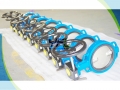 Wafer Center Line Fully PTFE Coated Butterfly Valve