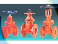 AWWA C509/AWWA C515 NRS DI Resilient Seated Gate Valve