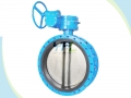 Flanged Concentric Rubber Lined Butterfly Valve With Pin