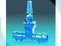 BS 5163/ DIN 3352 Rising Stem DI Resilient Seated Gate Valve