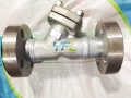 API High Pressure WCB Y Type Strainer