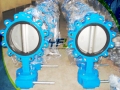 Lugged Concentric Double Shaft Butterfly Valve Without Pin