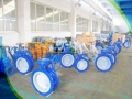 Flanged Concentric Rubber Lined Butterfly Valve With Pin
