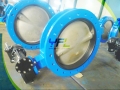 Lugged Concentric Double Shaft Butterfly Valve Without Pin