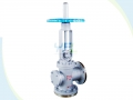 Angle Type Dumping Valve