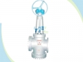 Angle Type Dumping Valve